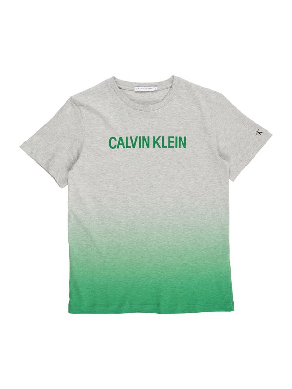 Calvin Klein Jeans Calvin Klein Jeans Majica  pegasto siva / zelena