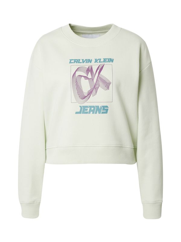 Calvin Klein Jeans Calvin Klein Jeans Majica 'Relaxed'  meta / žad / lila