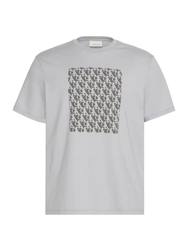 Calvin Klein Jeans Calvin Klein Jeans Majica  siva / antracit
