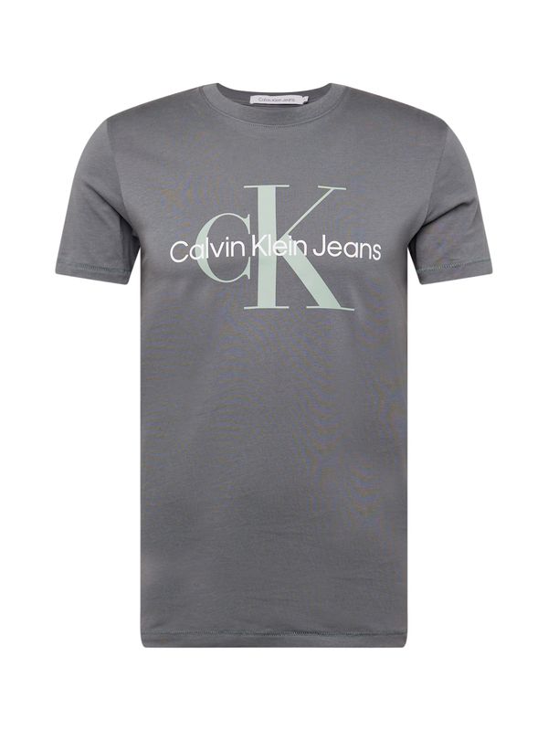 Calvin Klein Jeans Calvin Klein Jeans Majica  temno siva / meta / bela