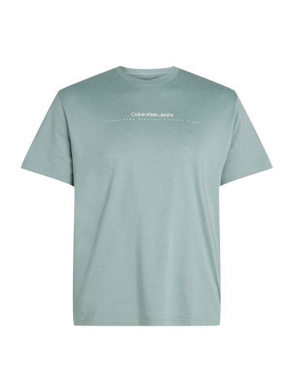 Calvin Klein Jeans Plus Calvin Klein Jeans Plus Majica  bazaltno siva / off-bela