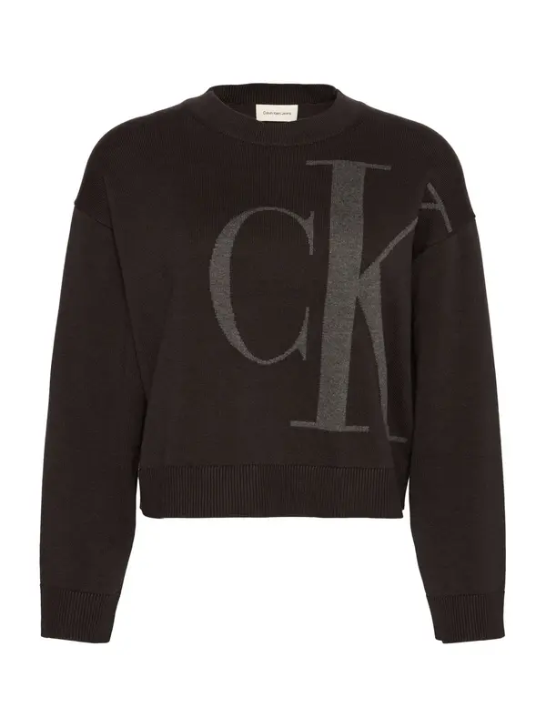 Calvin Klein Jeans Calvin Klein Jeans Pulover  temno siva / črna