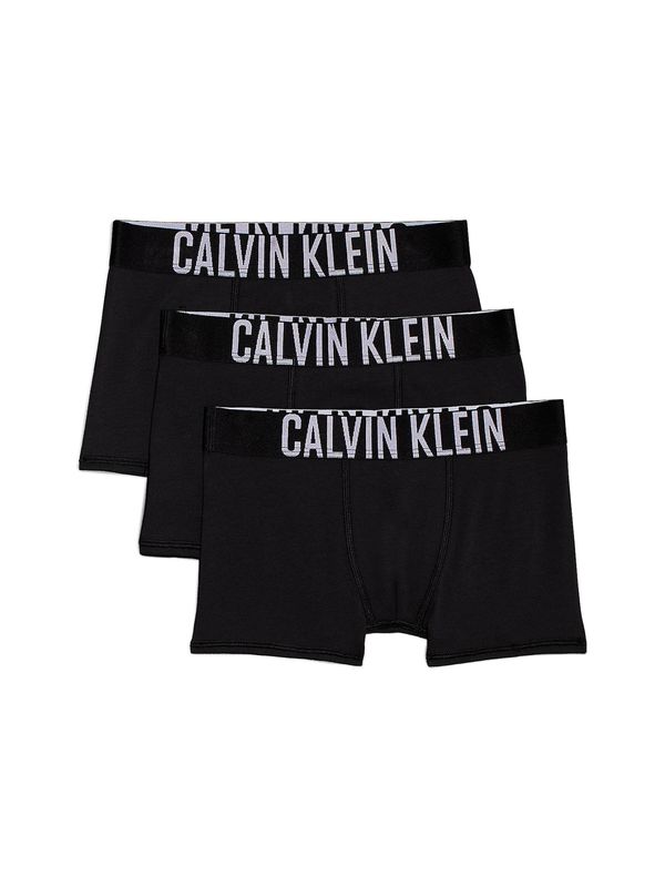 Calvin Klein Jeans Calvin Klein Jeans Spodnjice  črna / bela
