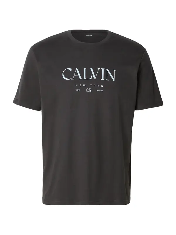 Calvin Klein Calvin Klein Majica  svetlo siva / temno siva