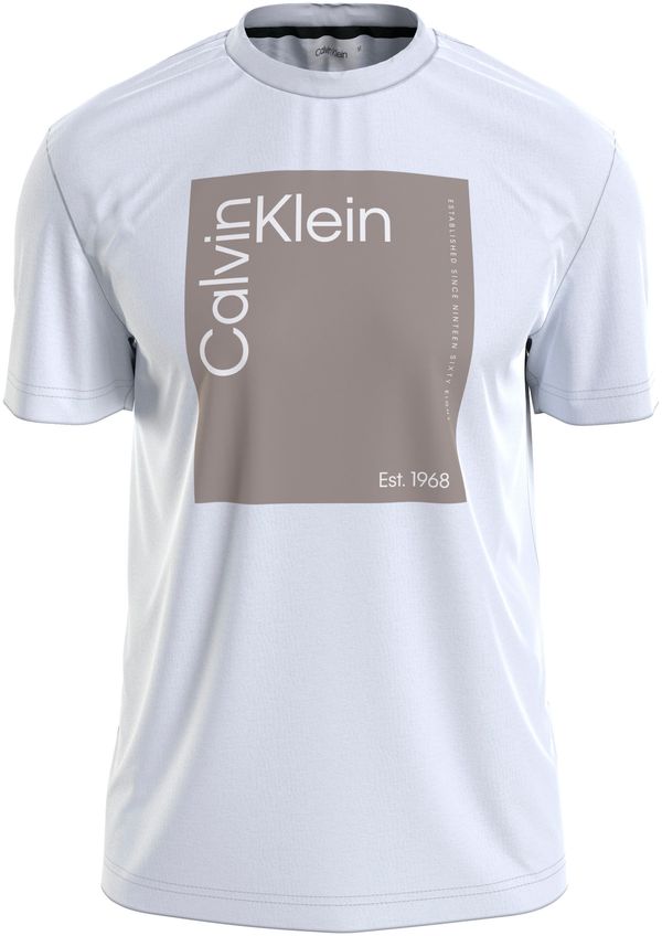 Calvin Klein Calvin Klein Majica  temno siva / bela