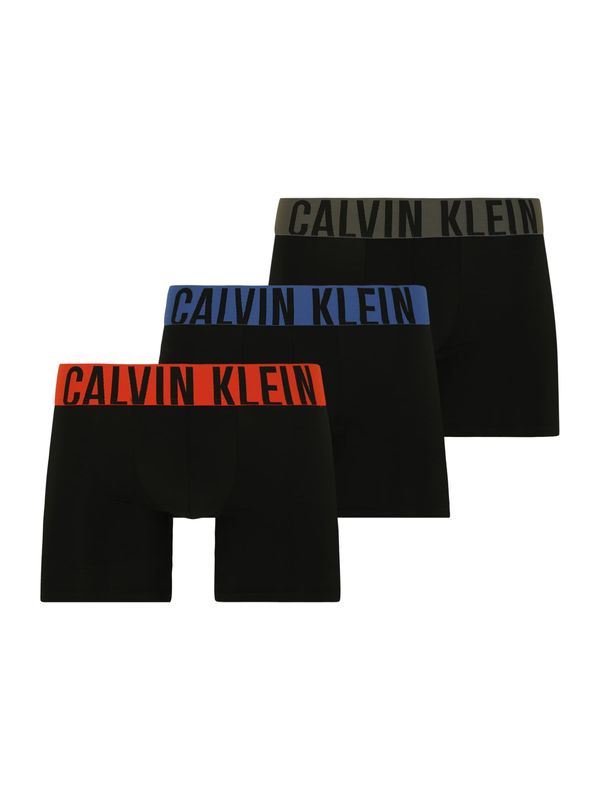 Calvin Klein Underwear Calvin Klein Underwear Boksarice 'Intense Power'  mešane barve / črna