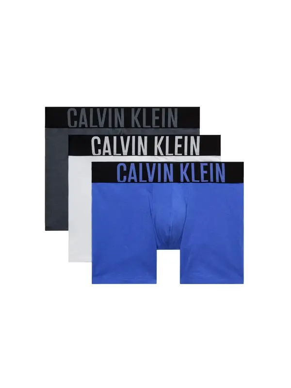 Calvin Klein Underwear Calvin Klein Underwear Boksarice 'Intense Power'  safir / azur / črna / bela