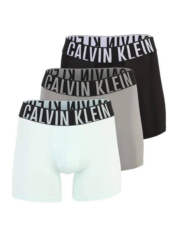 Calvin Klein Underwear Calvin Klein Underwear Boksarice 'Intense Power'  temno siva / meta / črna