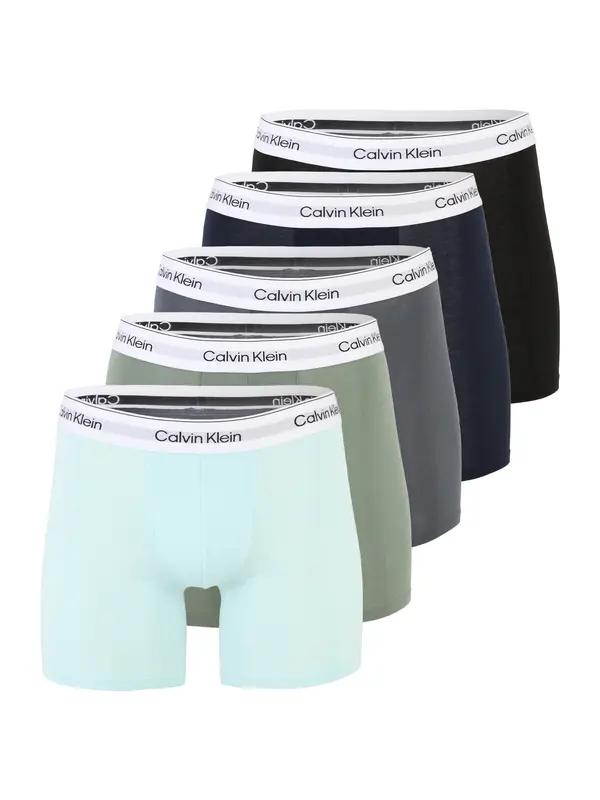 Calvin Klein Underwear Calvin Klein Underwear Boksarice  mornarska / voda / bazaltno siva / svetlo zelena / črna