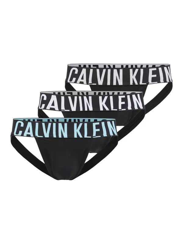 Calvin Klein Underwear Calvin Klein Underwear Spodnje hlačke 'Intense Power'  nebeško modra / svetlo siva / črna / bela