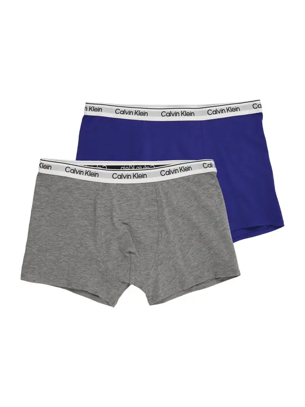Calvin Klein Underwear Calvin Klein Underwear Spodnjice  indigo / pegasto siva / črna / bela