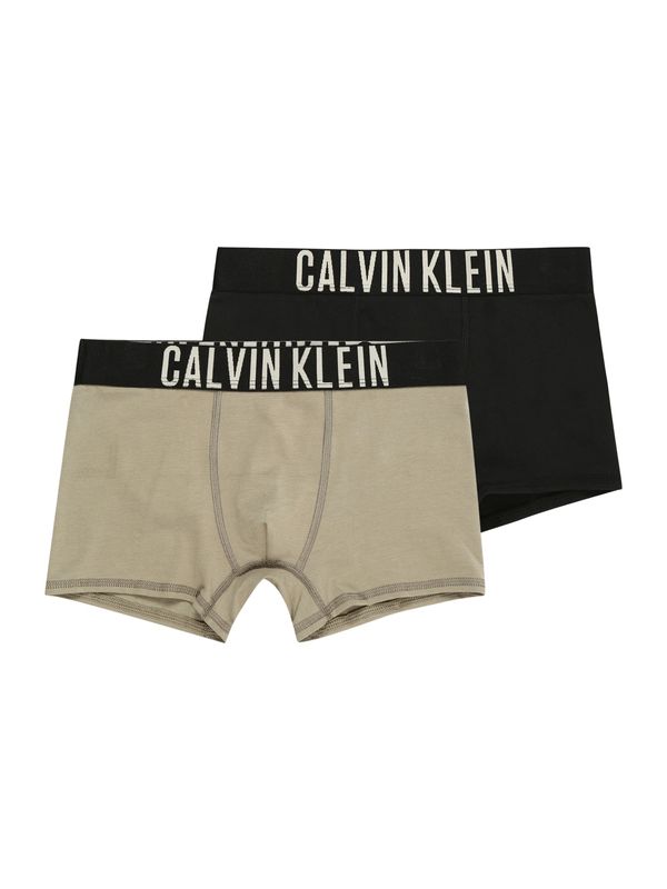 Calvin Klein Underwear Calvin Klein Underwear Spodnjice 'Intense Power'  bež / črna / bela