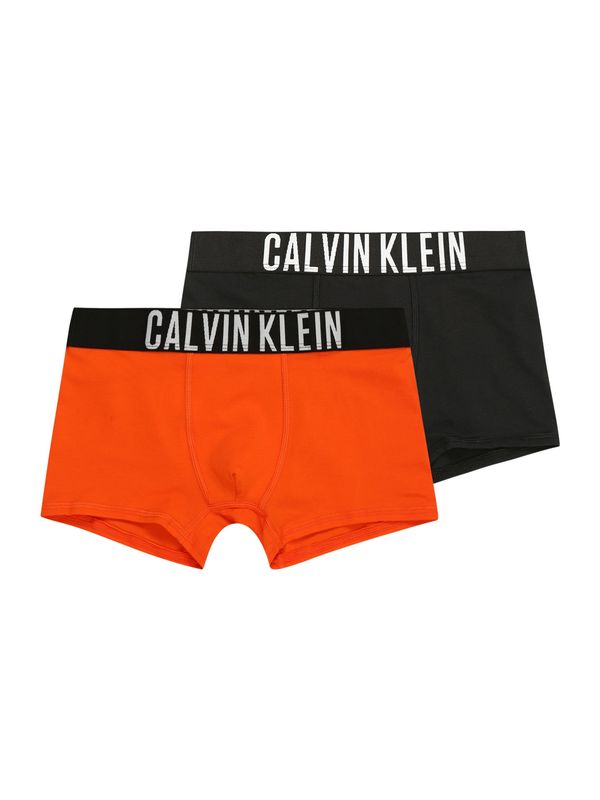 Calvin Klein Underwear Calvin Klein Underwear Spodnjice 'Intense Power'  oranžna / črna / bela