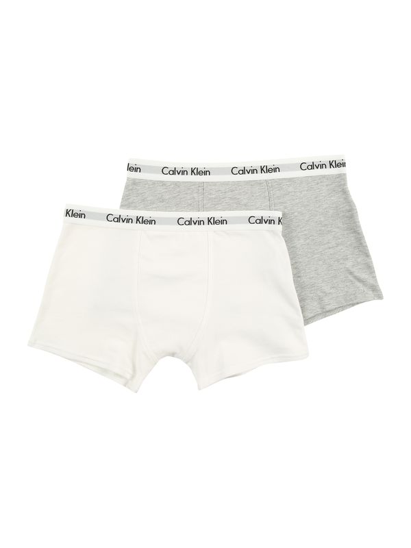 Calvin Klein Underwear Calvin Klein Underwear Spodnjice  pegasto siva / bela