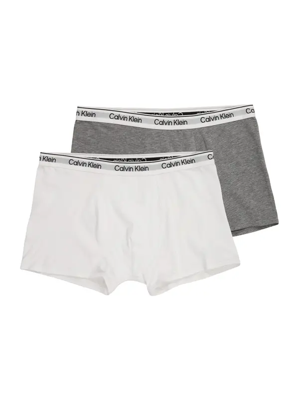 Calvin Klein Underwear Calvin Klein Underwear Spodnjice  pegasto siva / črna / bela