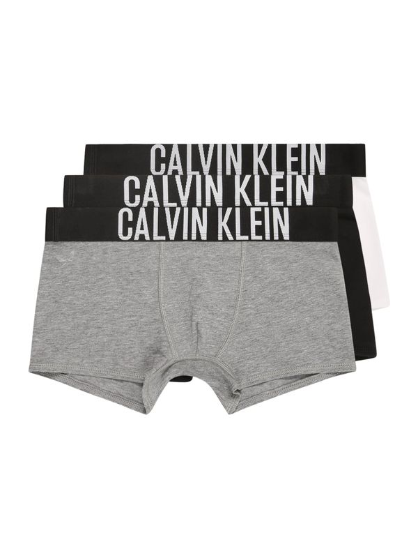 Calvin Klein Underwear Calvin Klein Underwear Spodnjice  pegasto siva / črna / bela