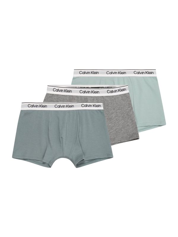Calvin Klein Underwear Calvin Klein Underwear Spodnjice  pegasto siva / zelena / meta / bela