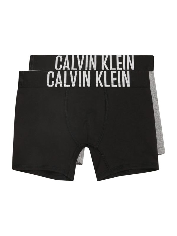 Calvin Klein Underwear Calvin Klein Underwear Spodnjice  siva / črna / off-bela