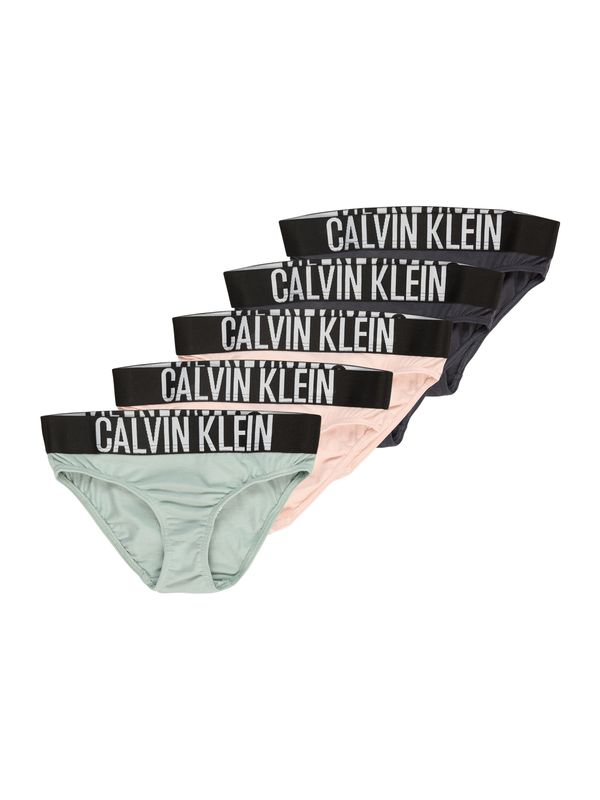 Calvin Klein Underwear Calvin Klein Underwear Spodnjice  temno siva / pastelno zelena / pastelno roza / bela