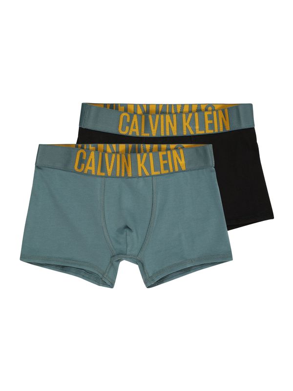 Calvin Klein Underwear Calvin Klein Underwear Spodnjice  zlato-rumena / petrol / črna