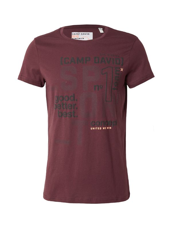 CAMP DAVID CAMP DAVID Majica  siva / merlot / črna