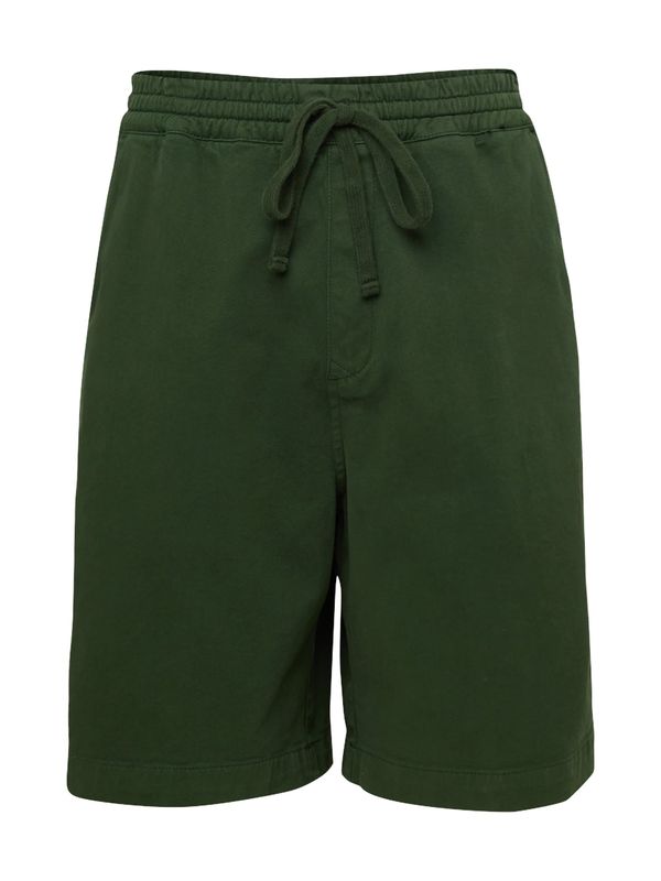 Carhartt WIP Carhartt WIP Chino hlače 'Floyde'  temno zelena