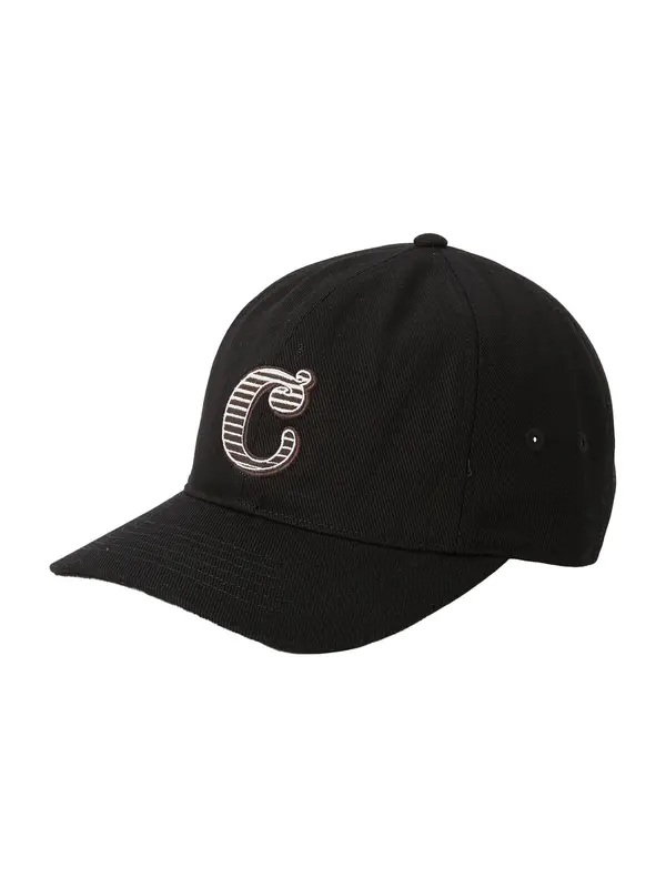 Carhartt WIP Carhartt WIP Kapa 'Cold World'  rjava / črna / bela