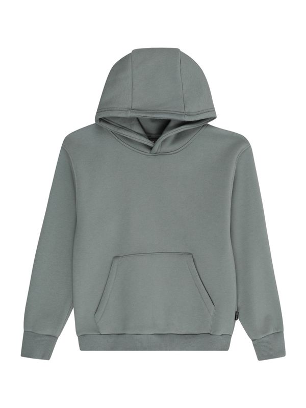 Cars Jeans Cars Jeans Majica 'FERGAL'  pastelno zelena