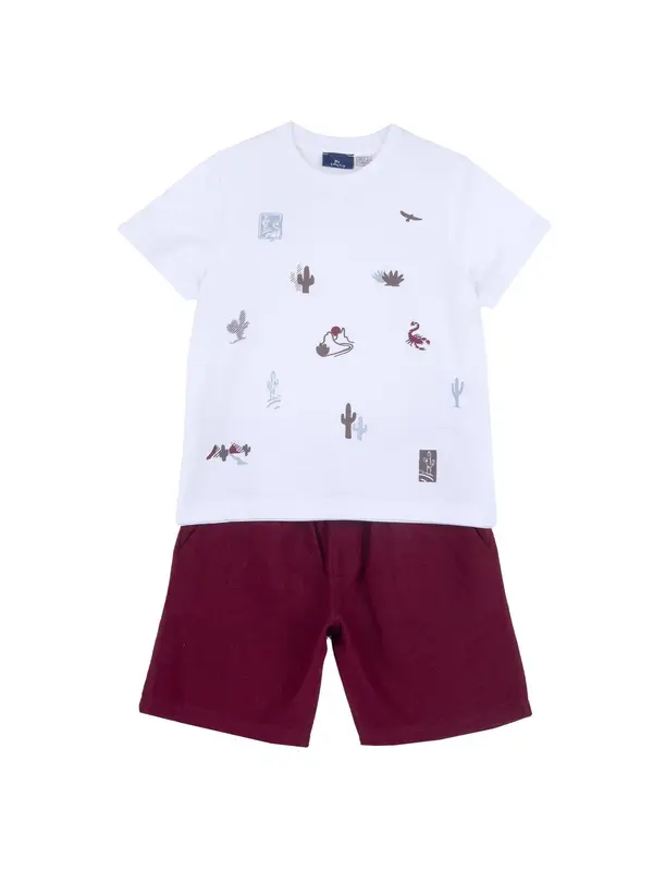 Chicco Chicco Komplet  svetlo modra / svetlo rjava / bordo / bela