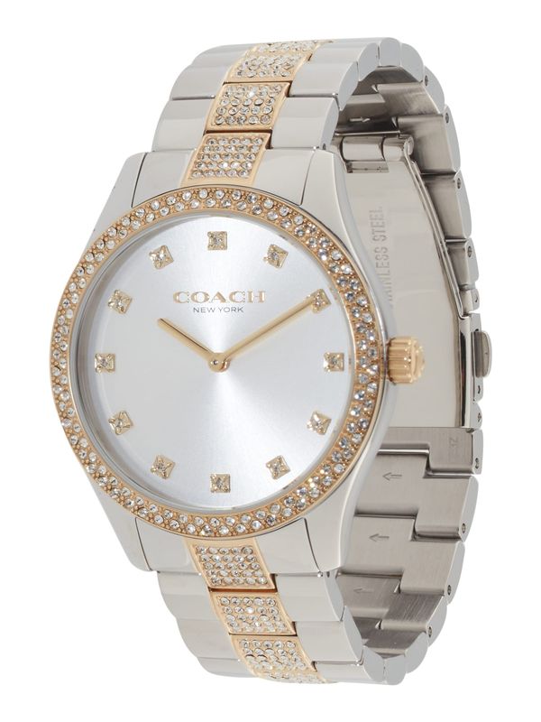 COACH COACH Analogna ura 'Brooks'  zlata / srebrna / transparentna