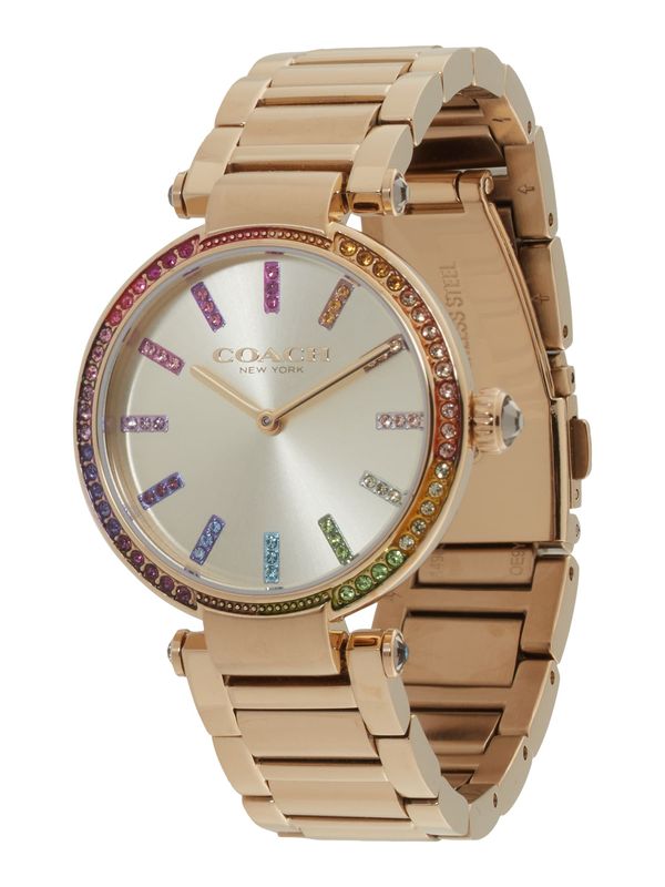 COACH COACH Analogna ura 'Cary'  modra / zlata / lila / naravno bela