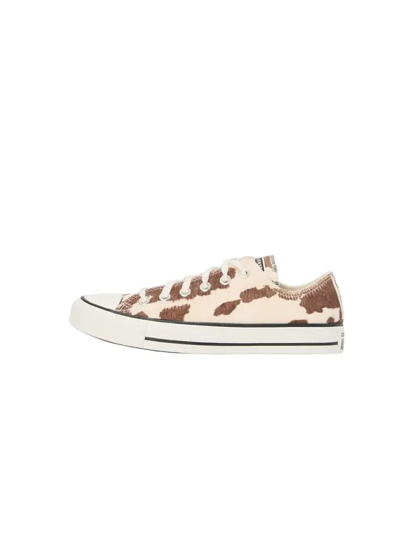 CONVERSE CONVERSE Nizke superge 'CTAS OX'  kremna / svetlo rjava