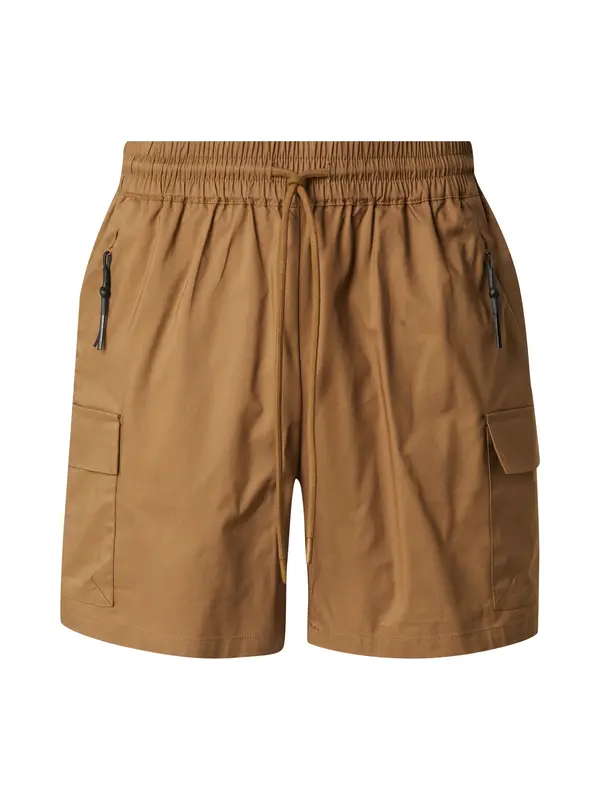 DAN FOX APPAREL DAN FOX APPAREL Kargo hlače 'Marten'  umbra