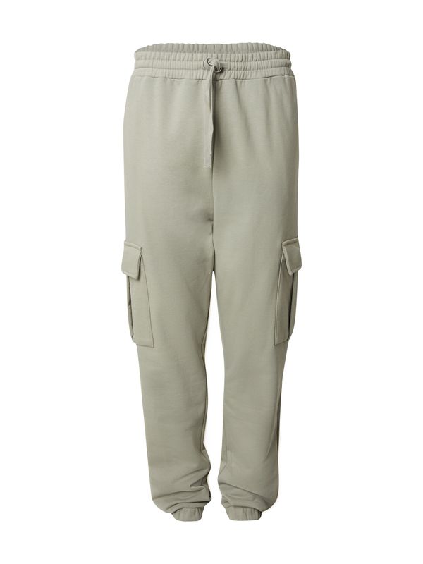 DAN FOX APPAREL DAN FOX APPAREL Kargo hlače 'Taylor'  pastelno zelena