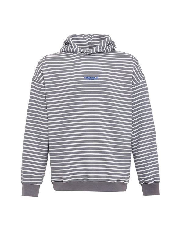 Dandalo Dandalo Majica 'Sheldon'  modra / siva / off-bela