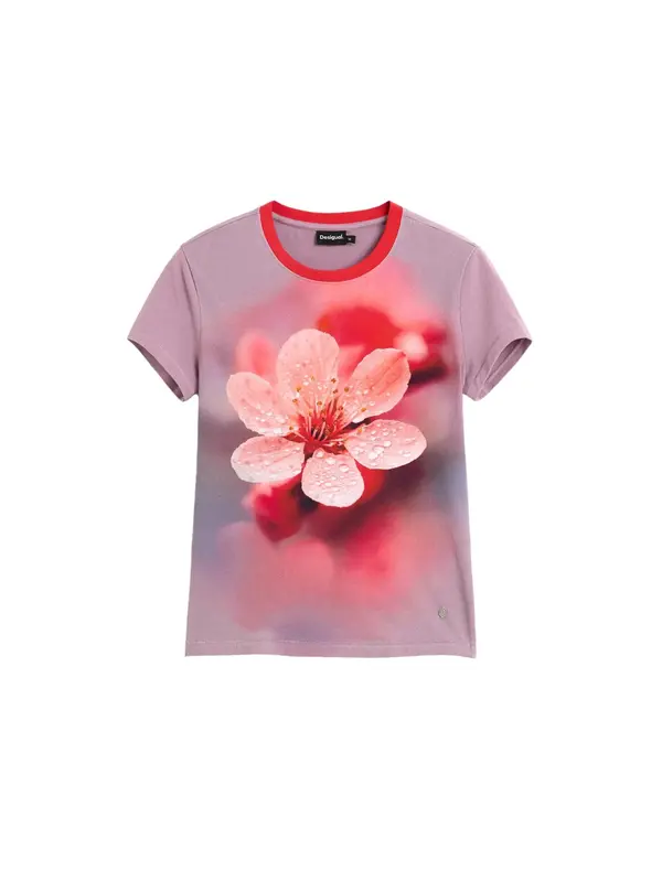 Desigual Desigual Majica  rosé / puder / svetlo rdeča