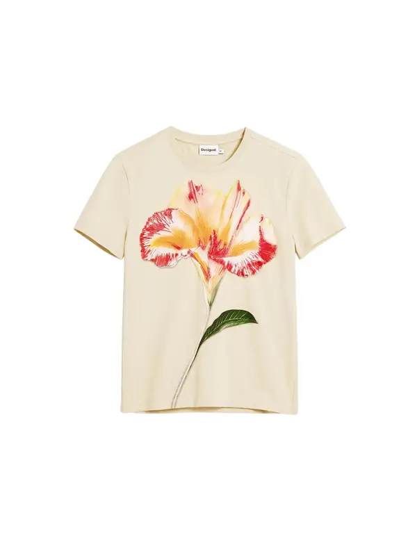 Desigual Desigual Majica  temno rumena / rdeča / volneno bela