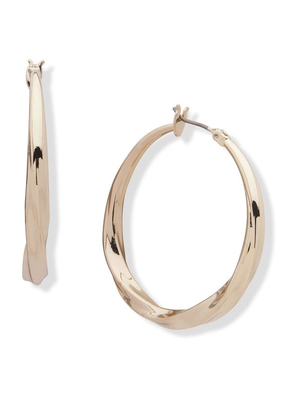 DKNY DKNY Uhani  zlata / transparentna