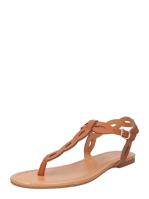 Dorothy Perkins Dorothy Perkins Japonke 'Bertie'  rjava