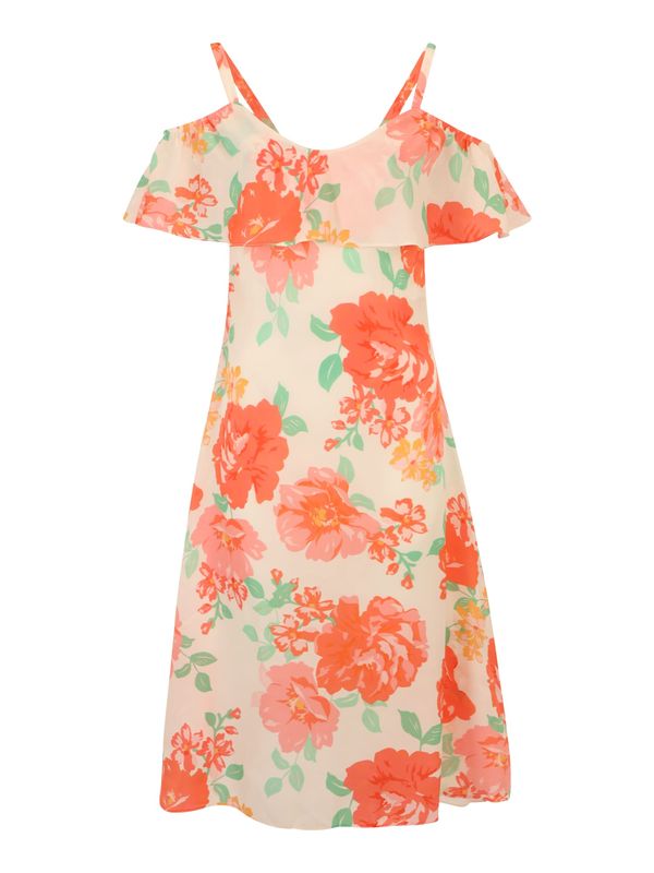 Dorothy Perkins Petite Dorothy Perkins Petite Obleka  bež / zelena / oranžna / temno oranžna