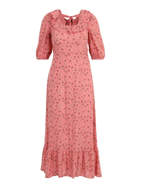 Dorothy Perkins Tall Dorothy Perkins Tall Obleka  zelena / roza / temno rdeča