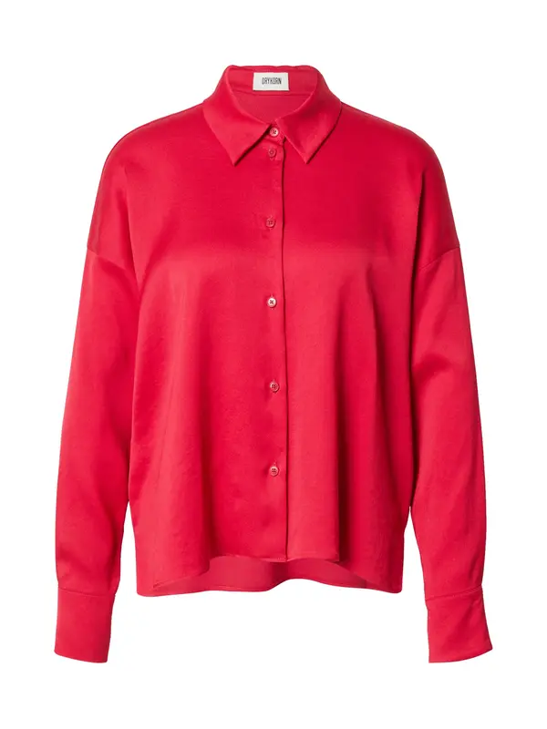 DRYKORN DRYKORN Bluza 'Cloelia'  brusnica