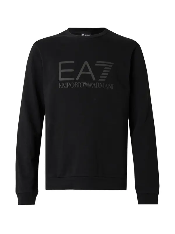 EA7 Emporio Armani EA7 Emporio Armani Majica  siva / črna