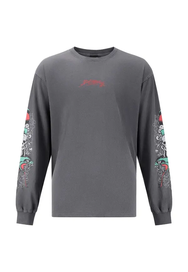 Ed Hardy Ed Hardy Pulover  temno siva / rdeča / črna