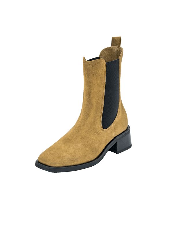 EDITED EDITED Gležnarji 'Friederieke'  kamela