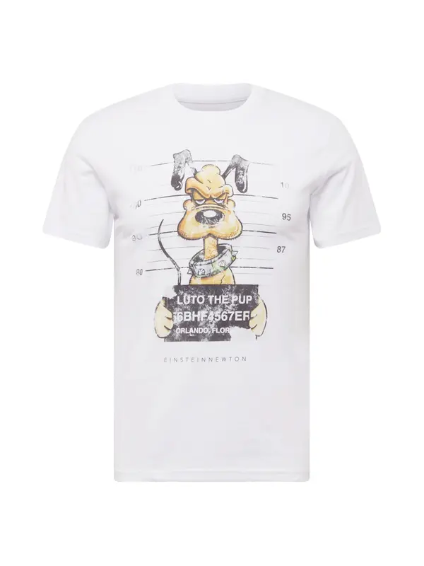 EINSTEIN & NEWTON EINSTEIN & NEWTON Majica  konjak / svetlo siva / travnato zelena / črna / bela