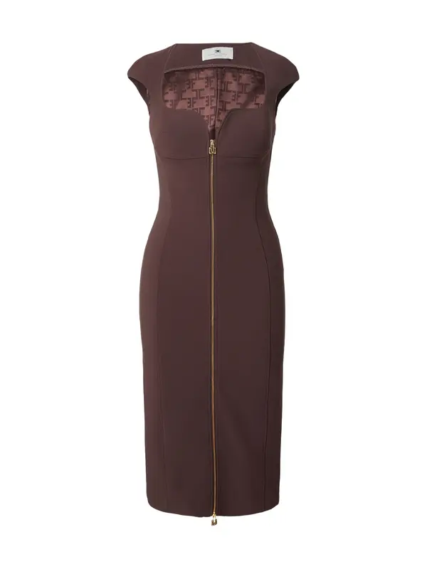 Elisabetta Franchi Elisabetta Franchi Obleka  rjava