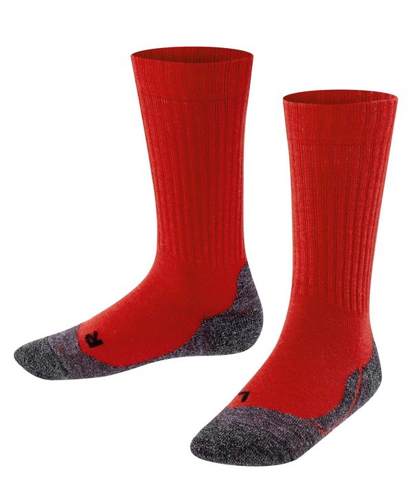 FALKE FALKE Športne nogavice 'Active Warm'  pegasto siva / rdeča / črna