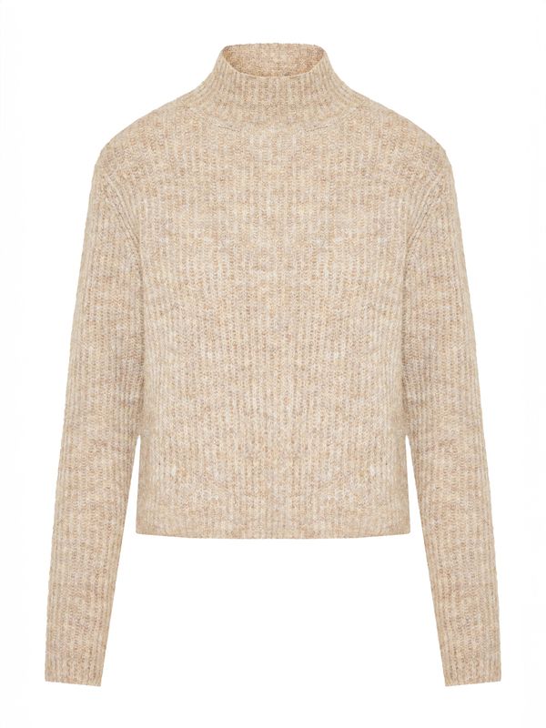 Funky Buddha Funky Buddha Pulover  progasto bež