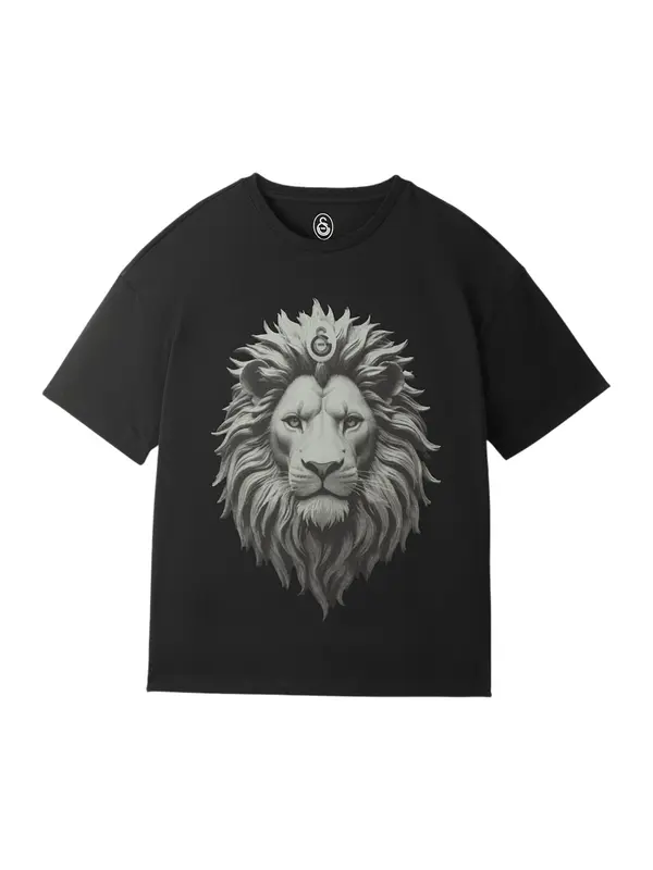 Galatasaray Galatasaray Majica 'Istanbul'  siva / temno siva / črna